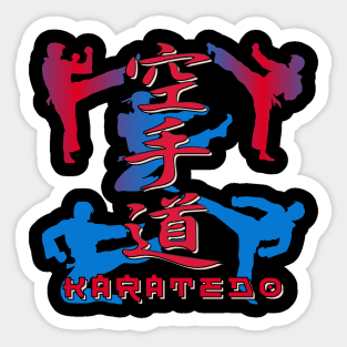 Martial Arts Japanese Karate Fighter 680 Sticker